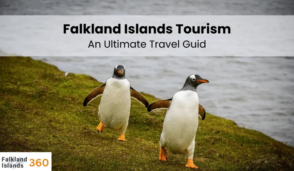 Falkland Islands Tourism