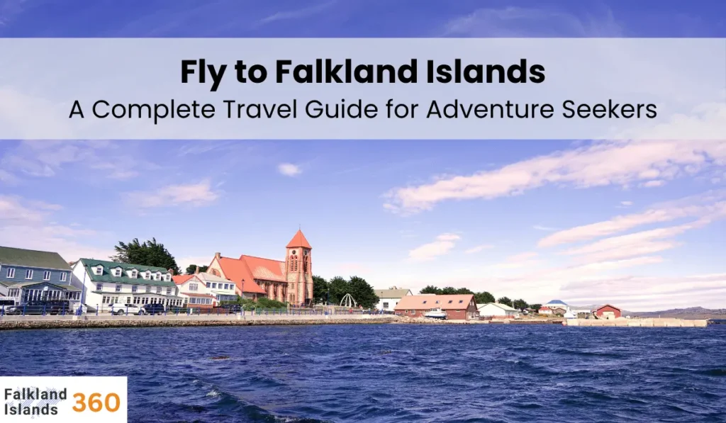 Fly to Falkland Islands