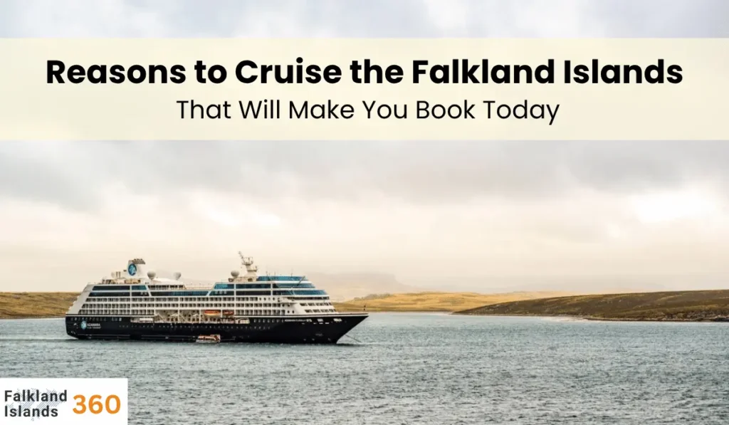 Reasons to Cruise the Falkland Islands