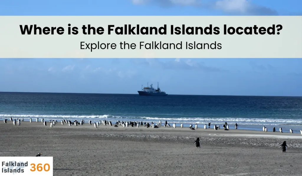 Where is the Falkland Islands located