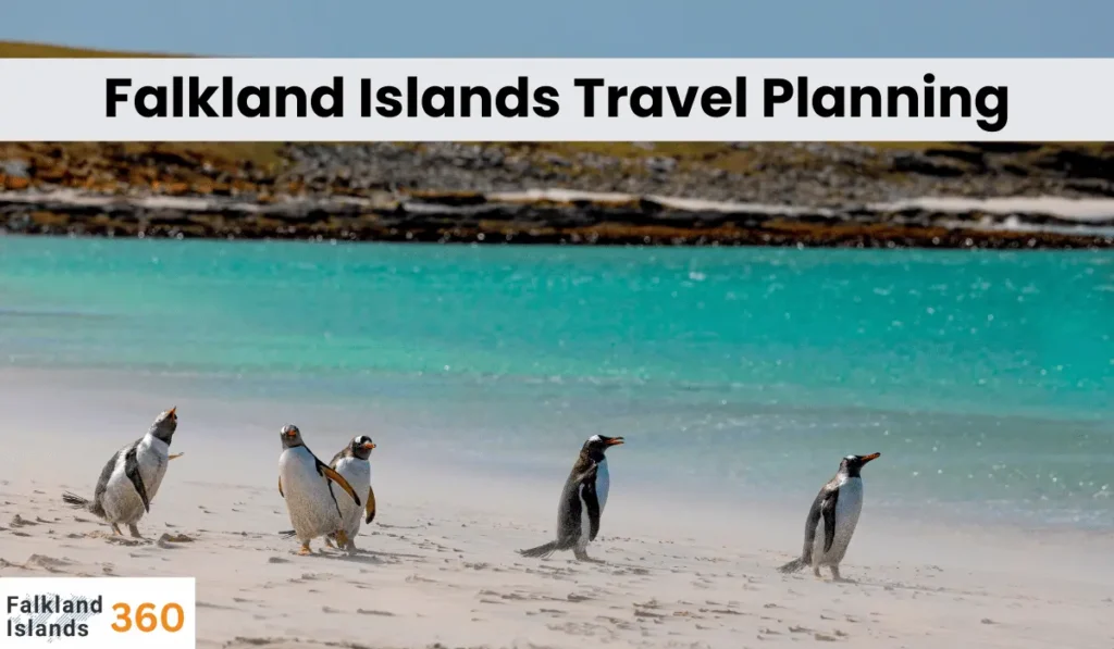 Falkland Islands Travel Planning
