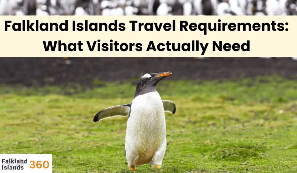 Falkland Islands Travel Requirements: What Visitors Actually Need