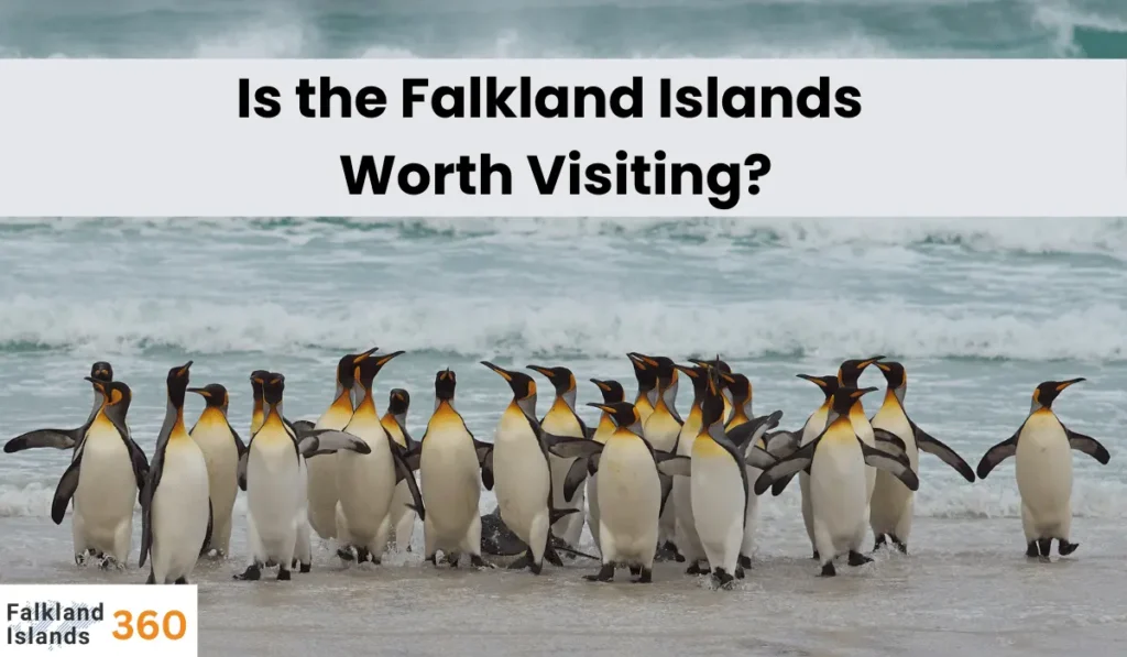 Is the Falkland Islands Worth Visiting