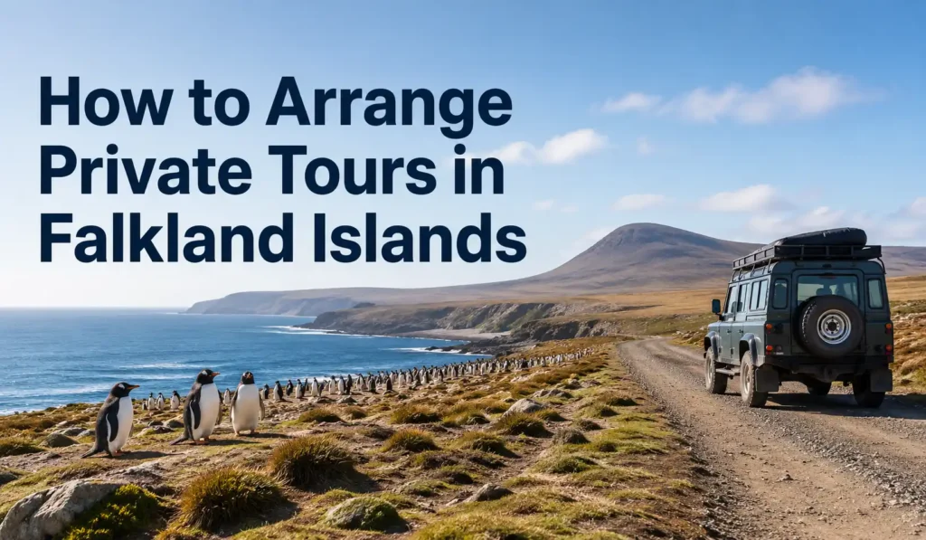 how to arrange private tours in falkland islands